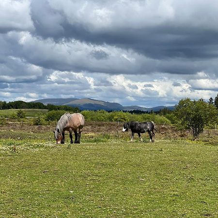 Jungle House No.26 At Three Lochs Holiday Park ニュートン・スチュワート エクステリア 写真