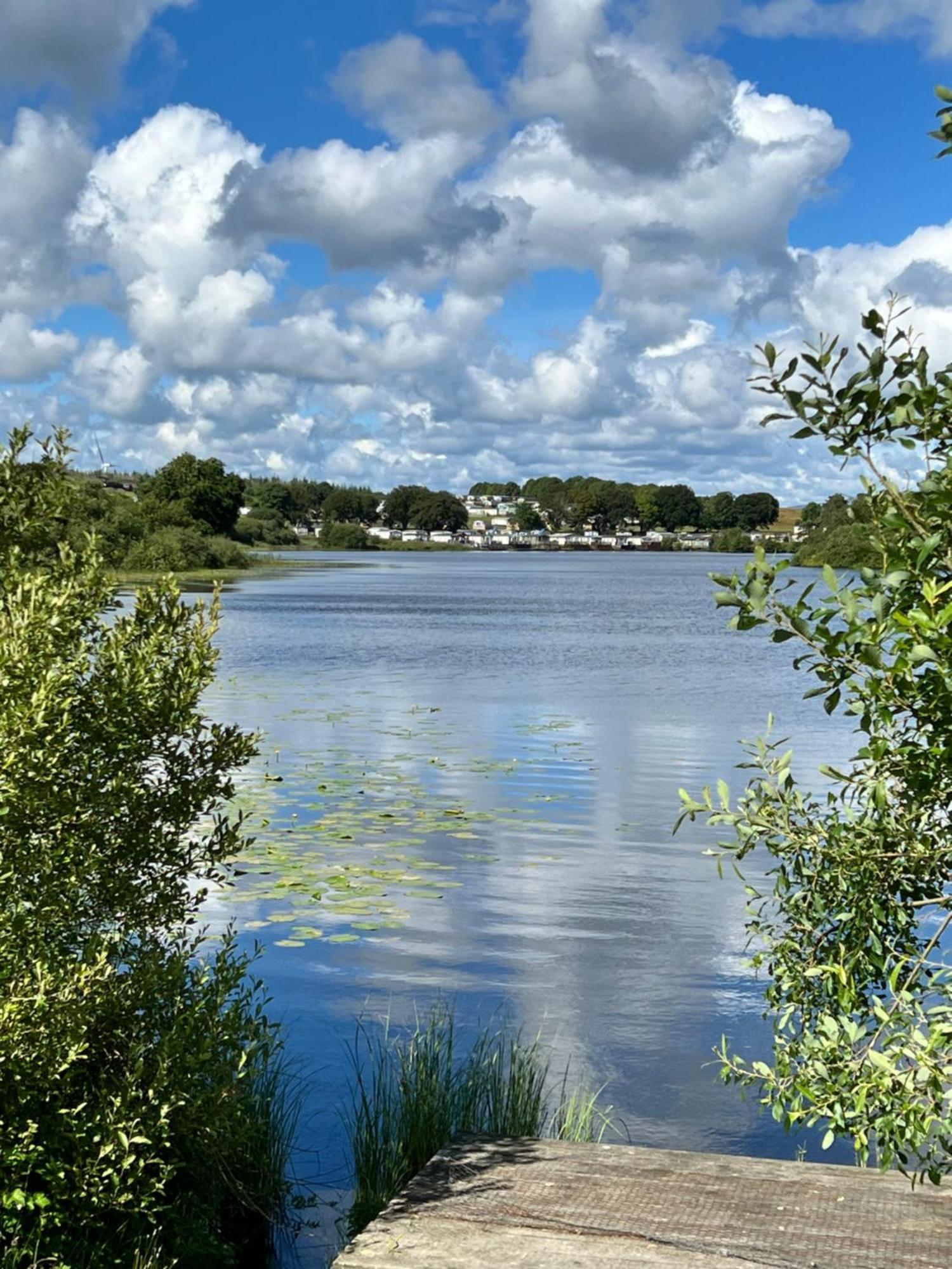 Jungle House No.26 At Three Lochs Holiday Park ニュートン・スチュワート エクステリア 写真